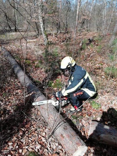 20230323_Motosaegenlehrgang (2)